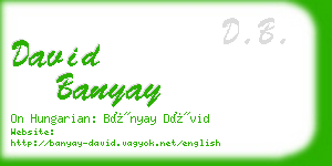 david banyay business card